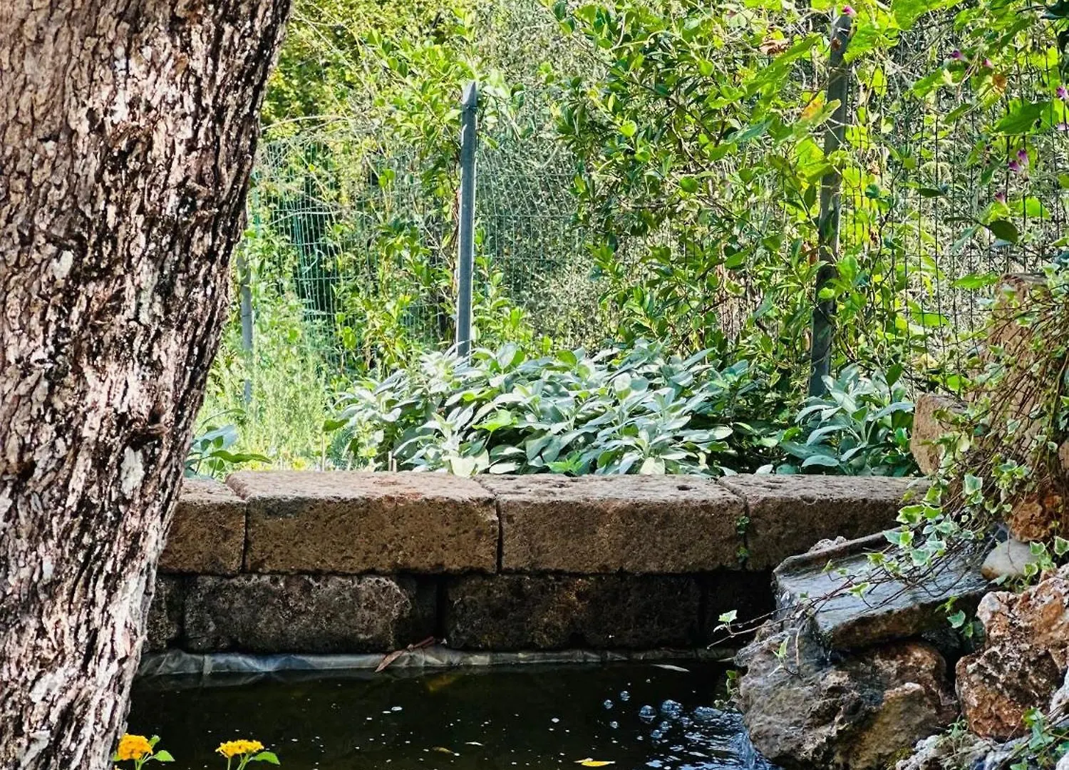 Villa Daniela Камайоре Италия